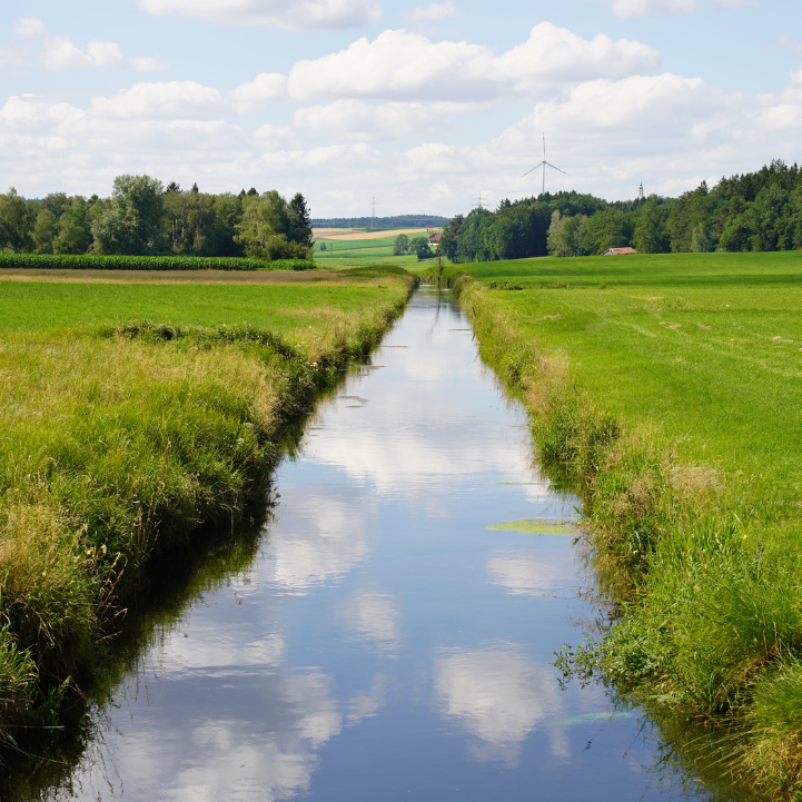 Naturnahe Uferbepflanzung am Moosach-Hangkanal 