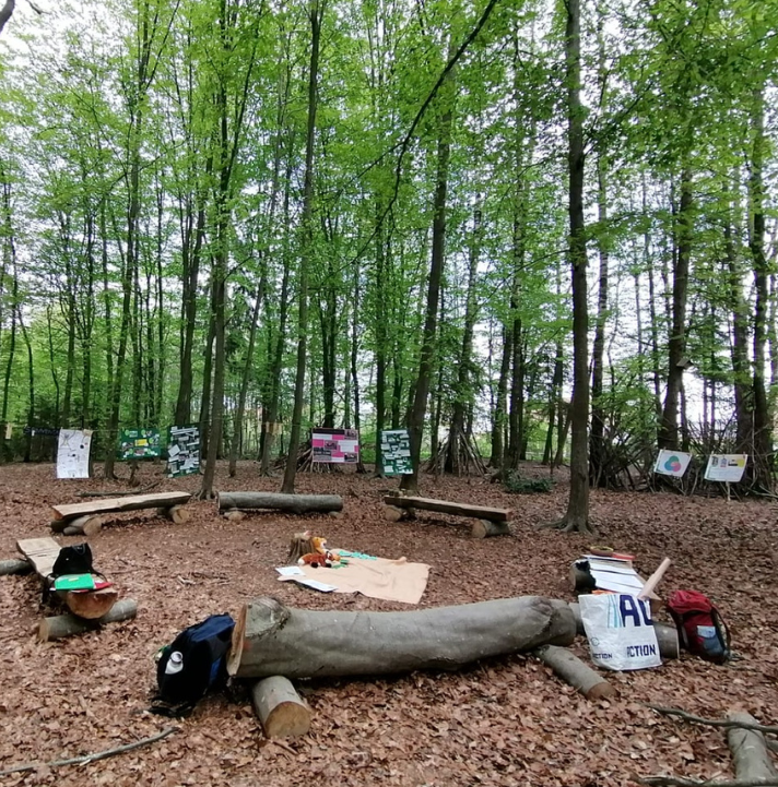 Mit Unterricht im Wald zum ökologischen Handabdruck