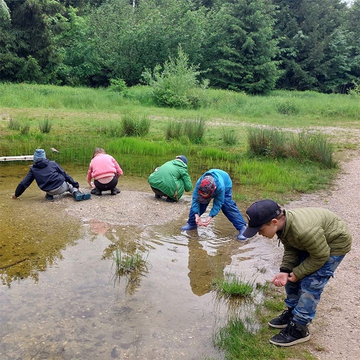 Naturworkshops für Vorschulkinder