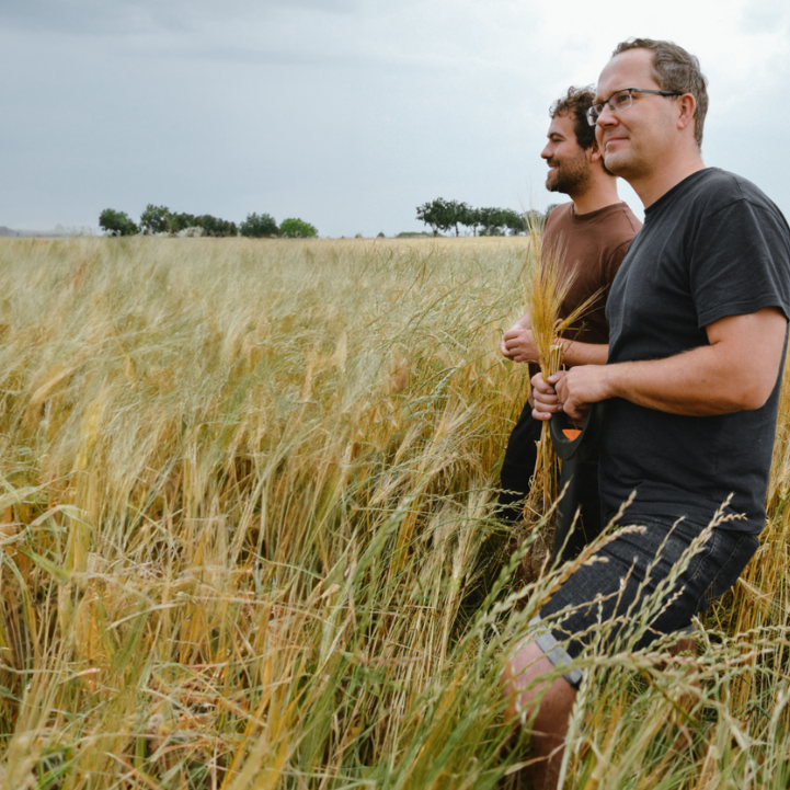 Klimaschutz durch regenerative Landwirtschaft 