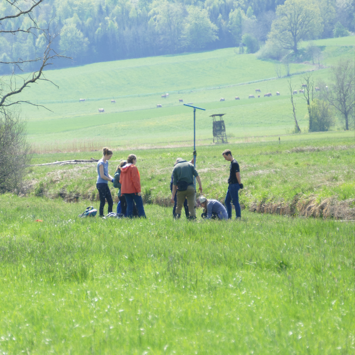 Renaturierung einer Moorfläche im Brucker Moos II
