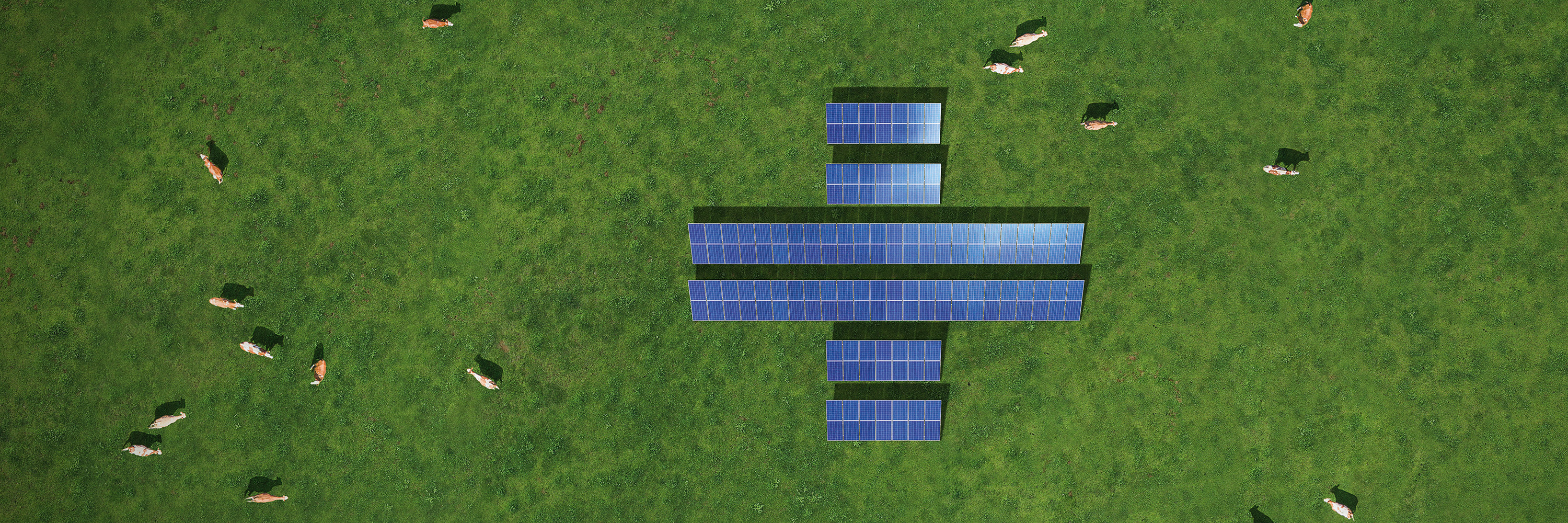Header Image: gr&uuml;ne Wiese, K&uuml;he und Solaranlage.