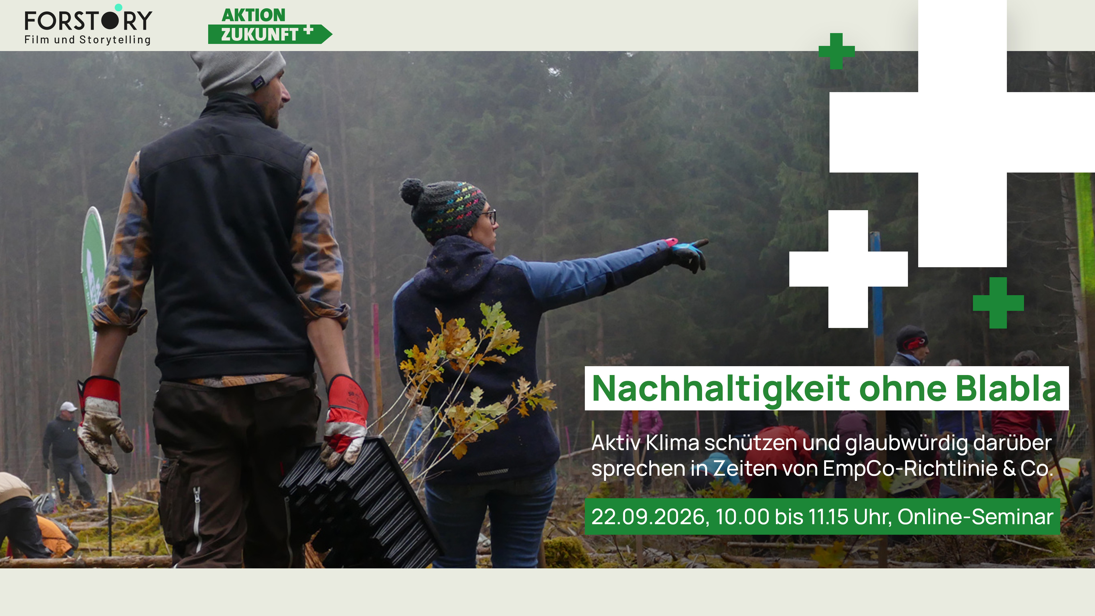 Visual f&uuml;r das beschriebene Online-Seminar